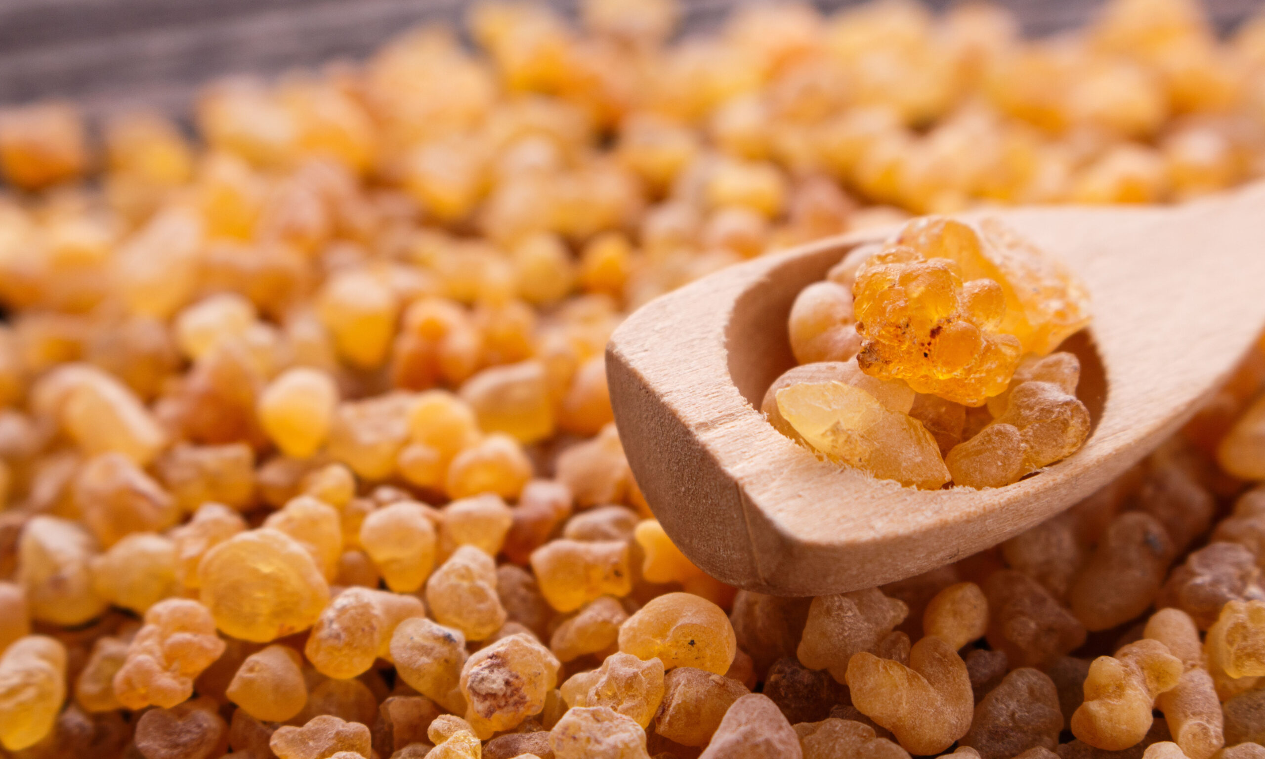 frankincense essential oil on a wooden background.