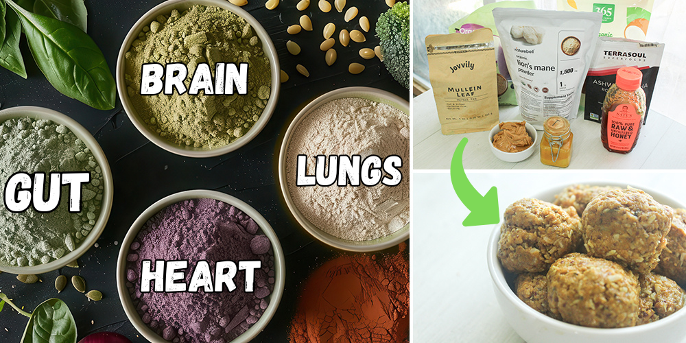 Medicinal Powders Body Map
