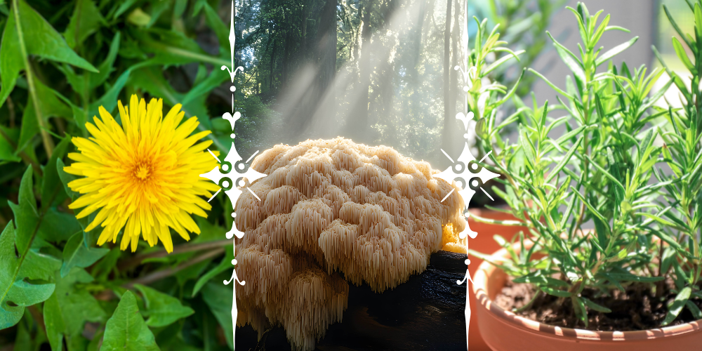 The Backyard Weeds That Can Slow Down Cognitive Decline