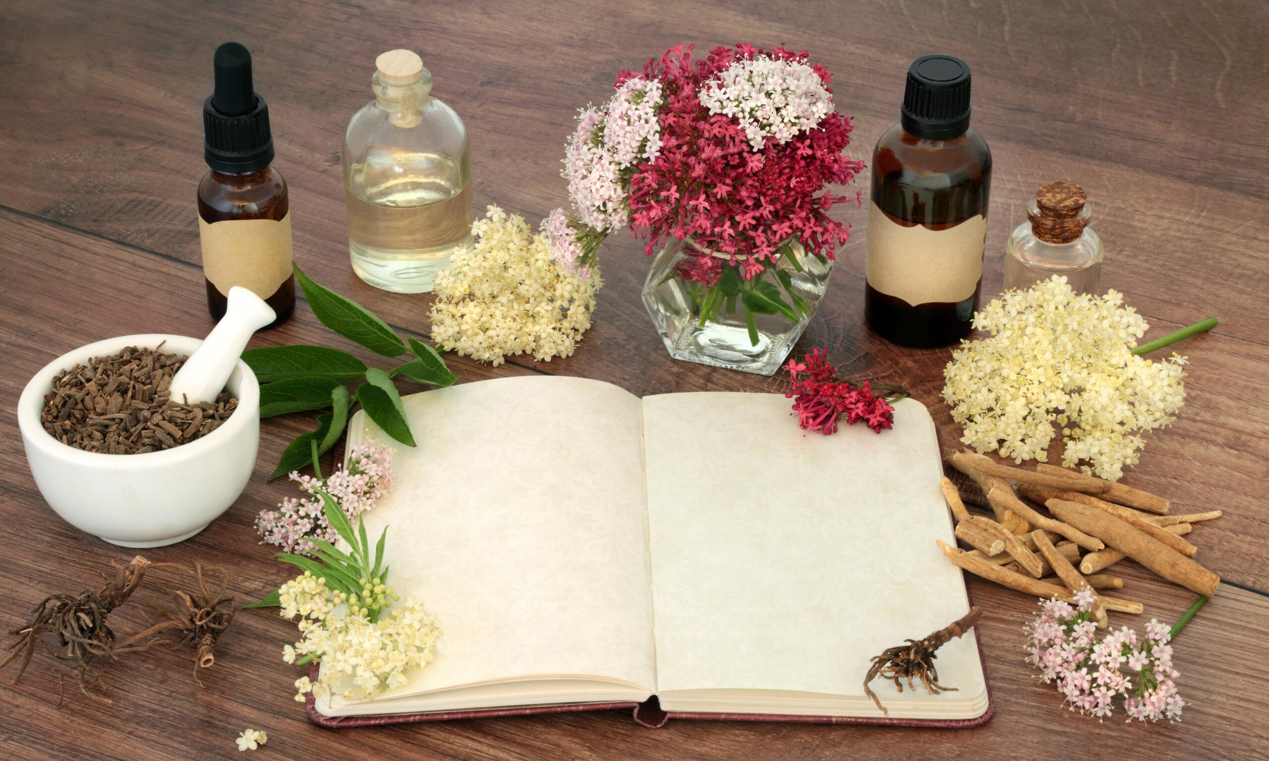 Stress reducing herbal plant medicine with valerian root, ashwagandha and elder flowers and notebook for formulas. For stress reducing natural flower remedies. On rustic wood.