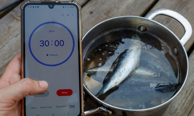 02 boiling niboshi dashi