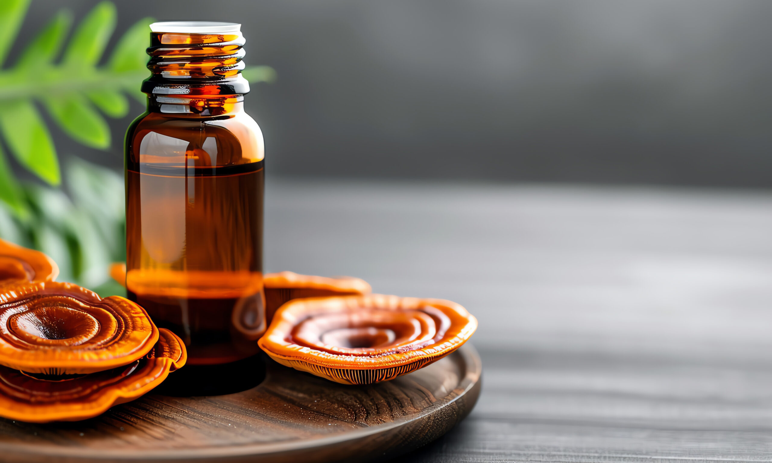 Close-up of Reishi mushroom extract in a glass bottle, surrounded by dried Reishi mushrooms on a wooden tray.