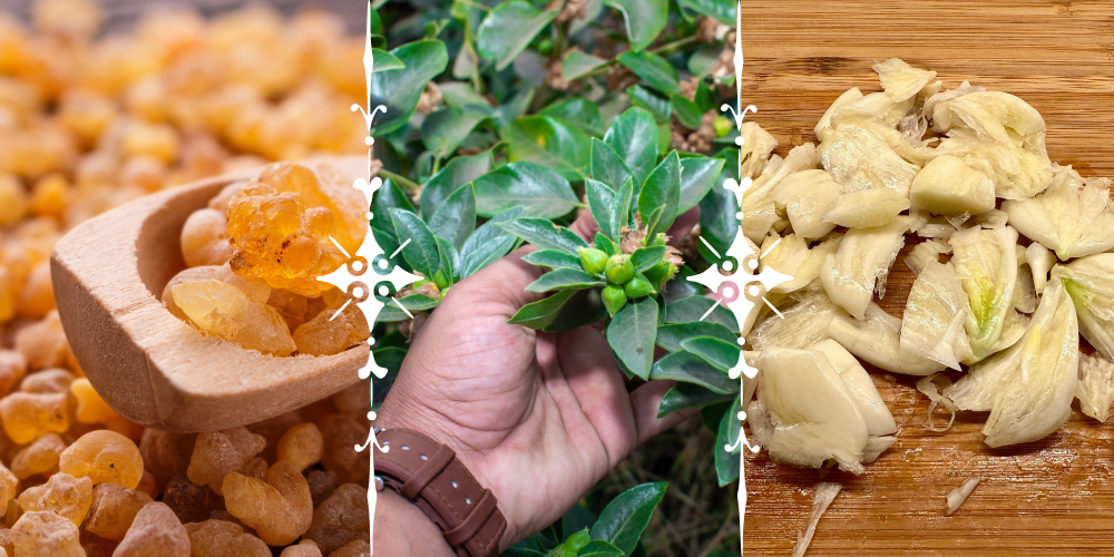 Discover The Common Foods That Shorten Your Lifespan By 15 Years—and what to eat instead to reclaim your health before it’s too late. Ask ChatGPT