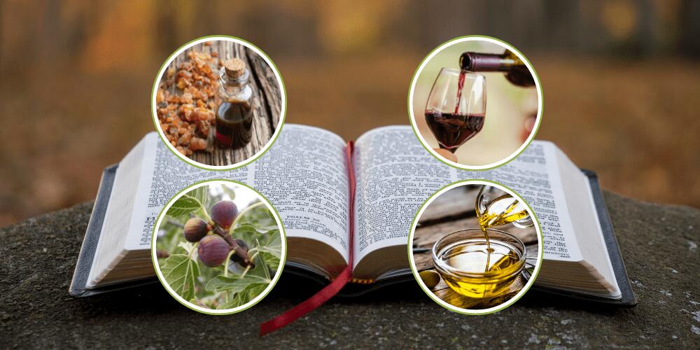 7 bible Remedies proven by science