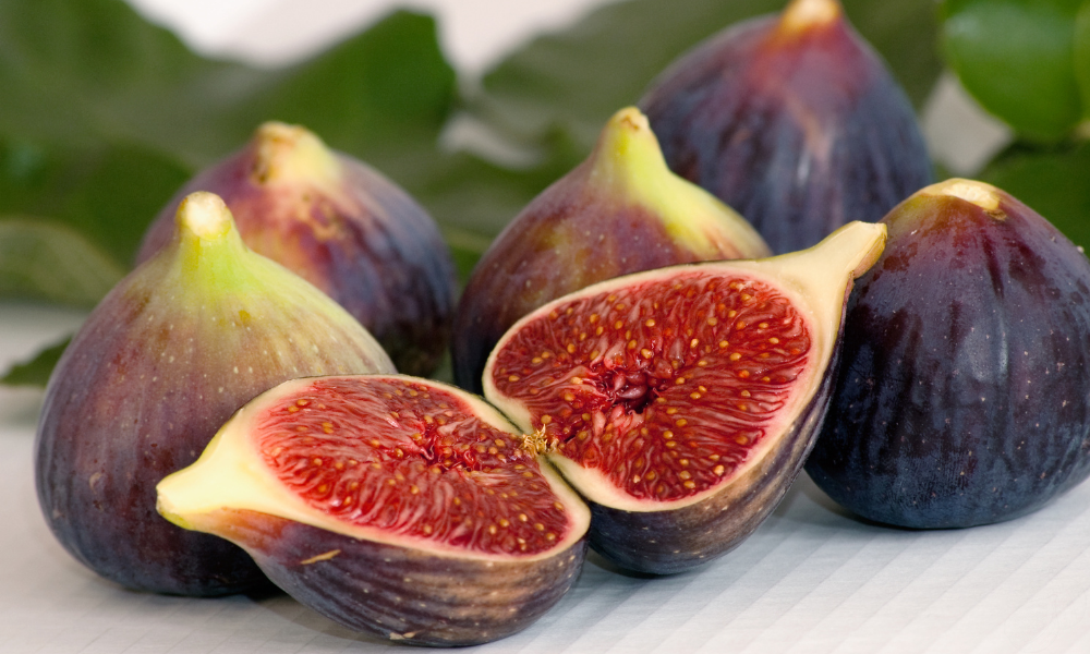 fig