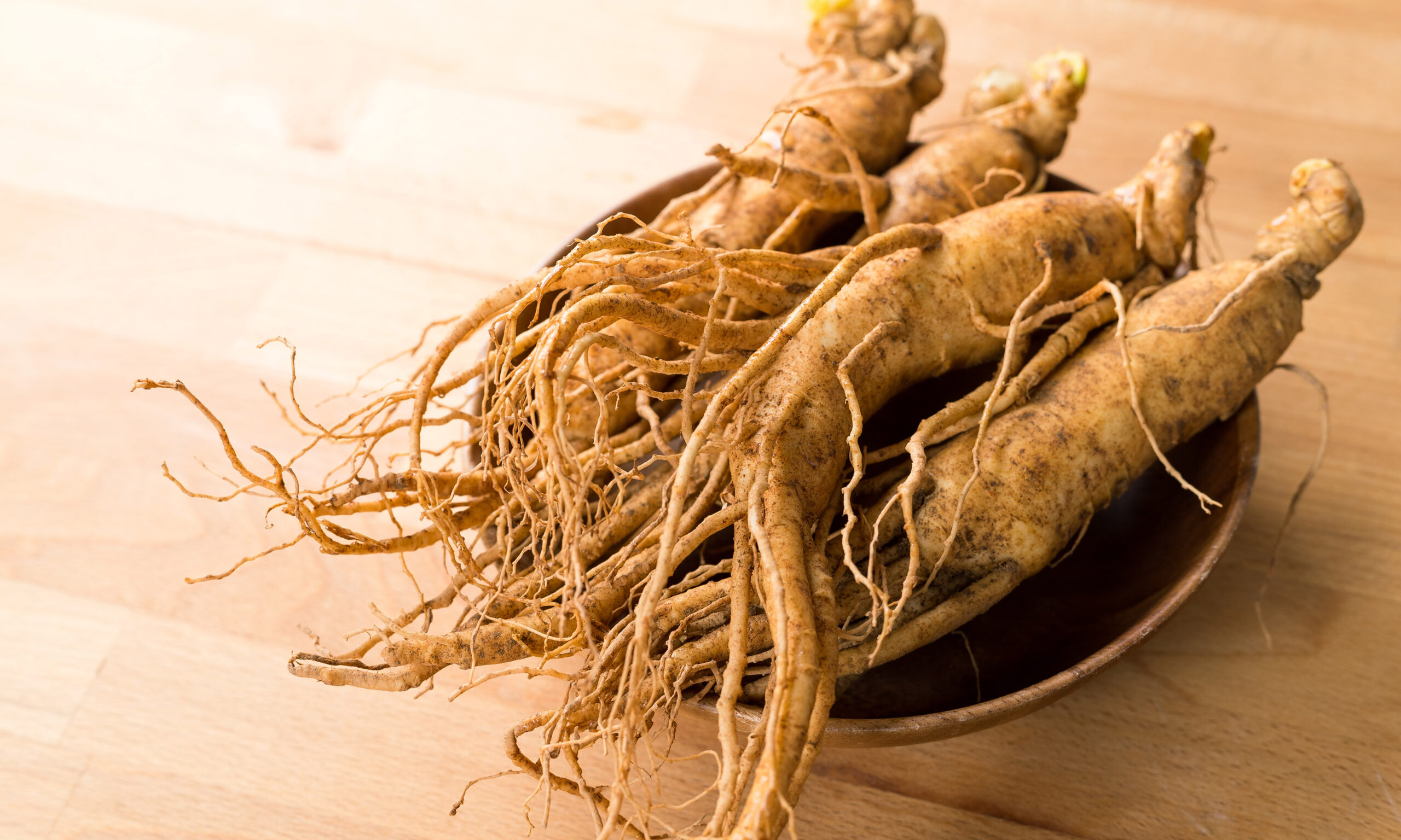 Ginseng