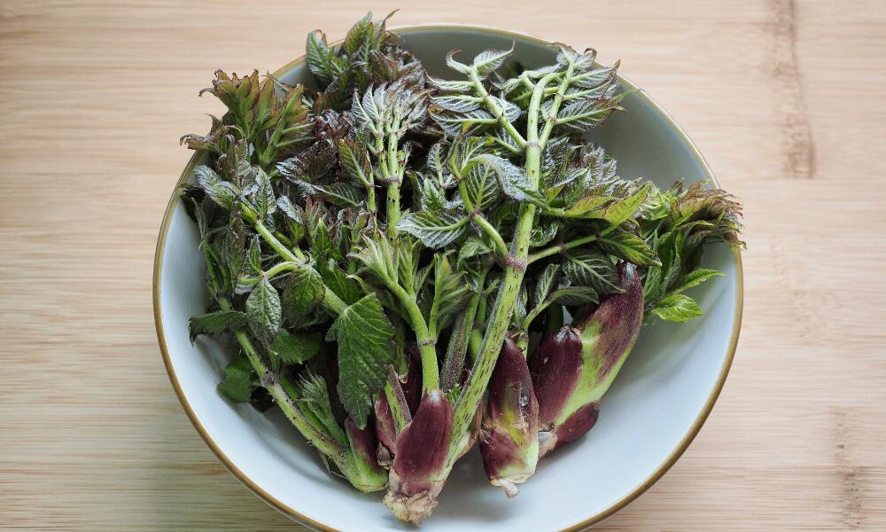 spikenard