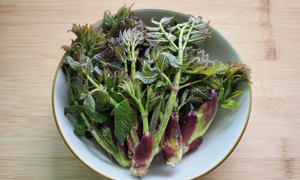 spikenard