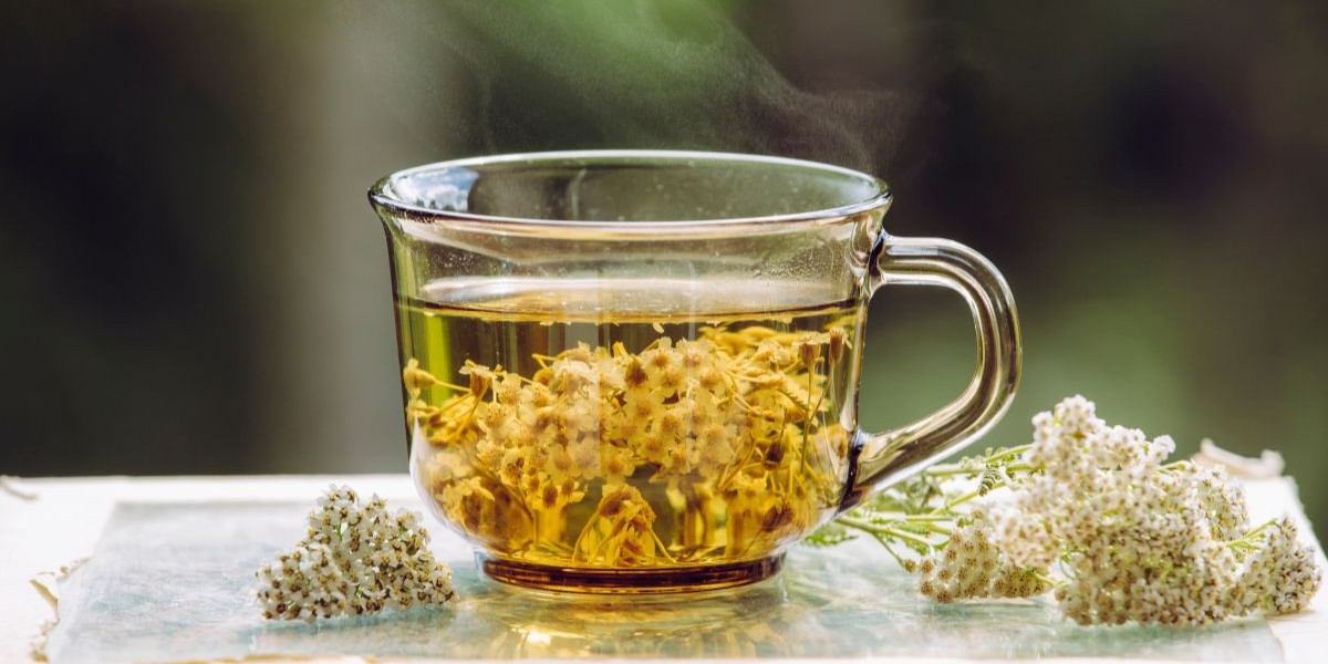 yarrow medicinal uses