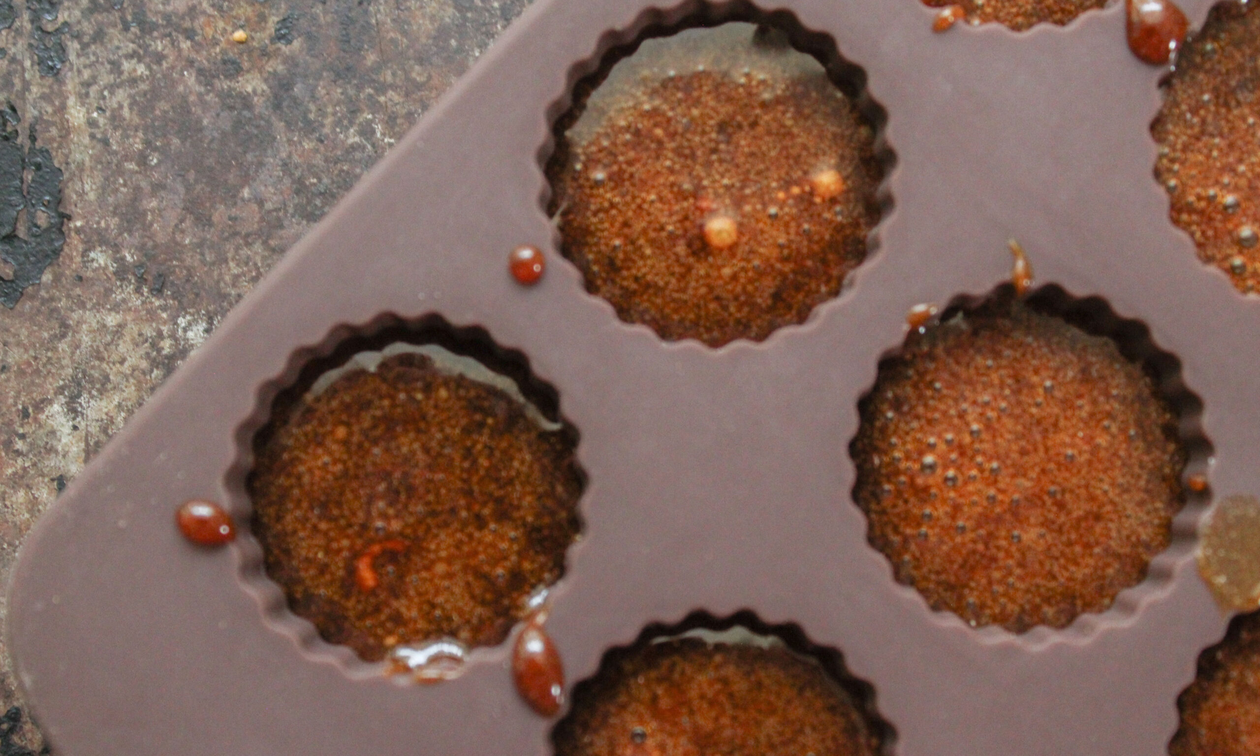 03 Echinacea Halls Step Three copy