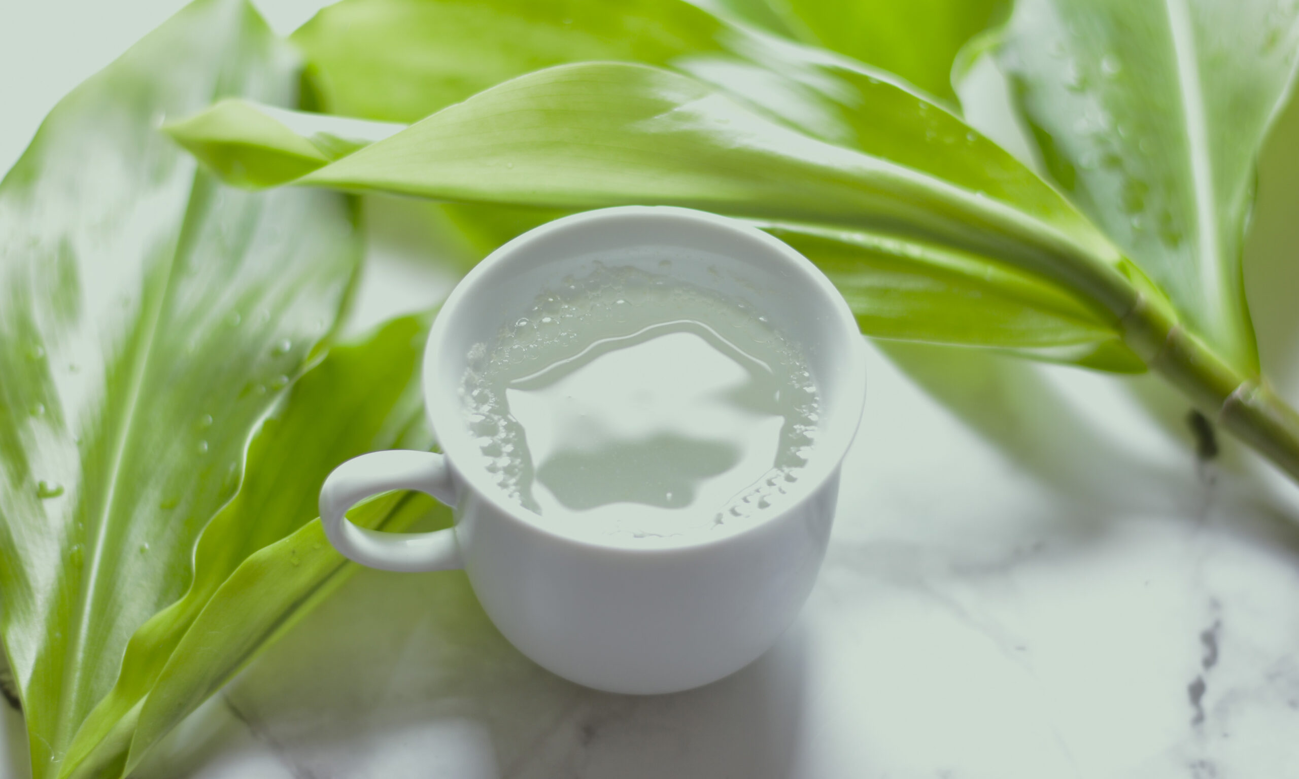 03 blood sugar regulator