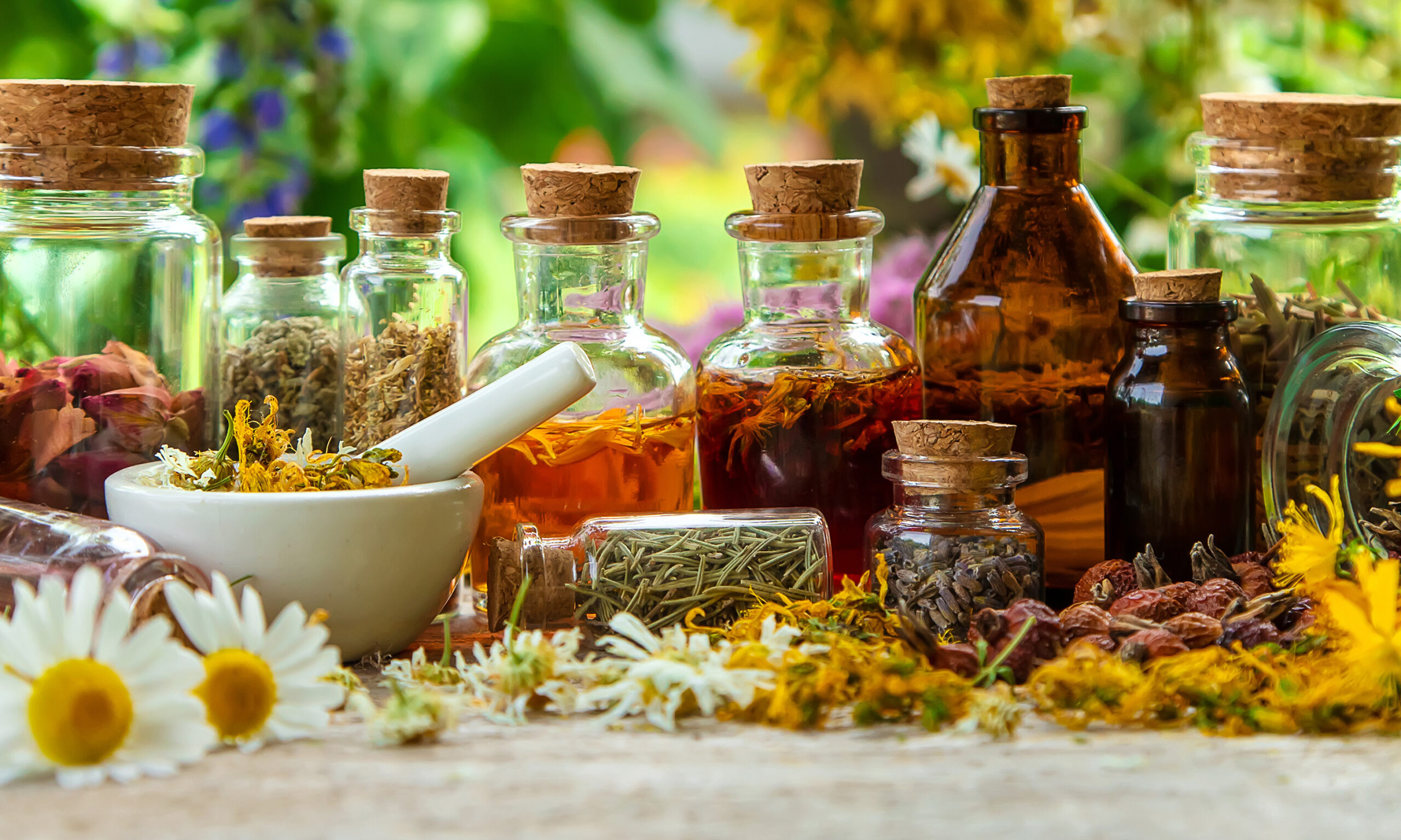 Tincture of medicinal herbs in bottles. Selective focus. Nature.