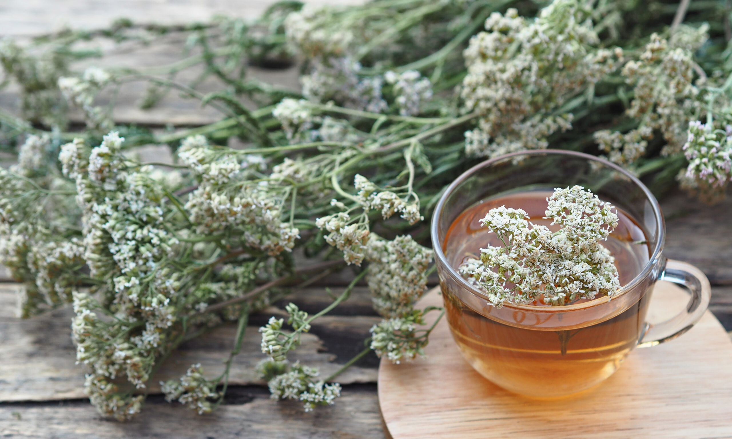 Herbal medicinal background. Healthy tea with yarrow flowers on a wooden rustic table. Place for text.