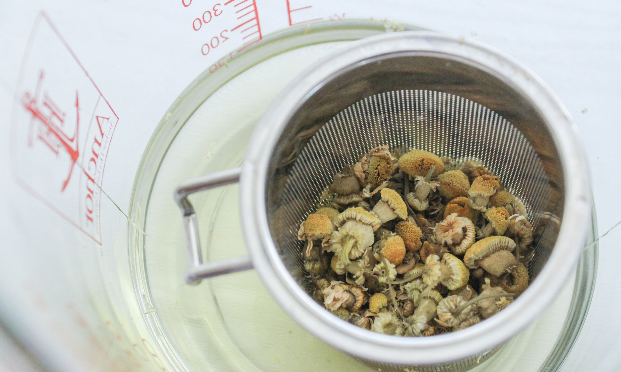 05 Calm Heartburn Step One copy