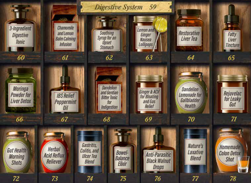 Digestive System FHA