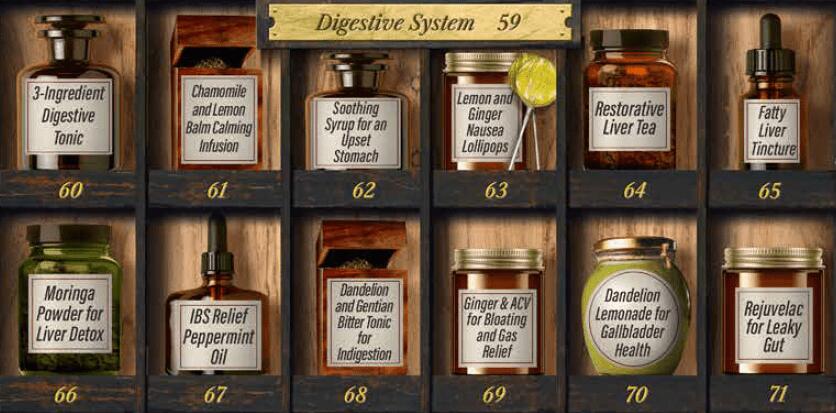 Digestive System FHAA