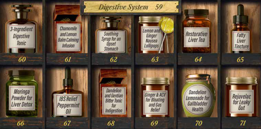 Digestive System FHAA