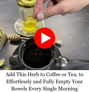 Banner LSF - Honey Meat