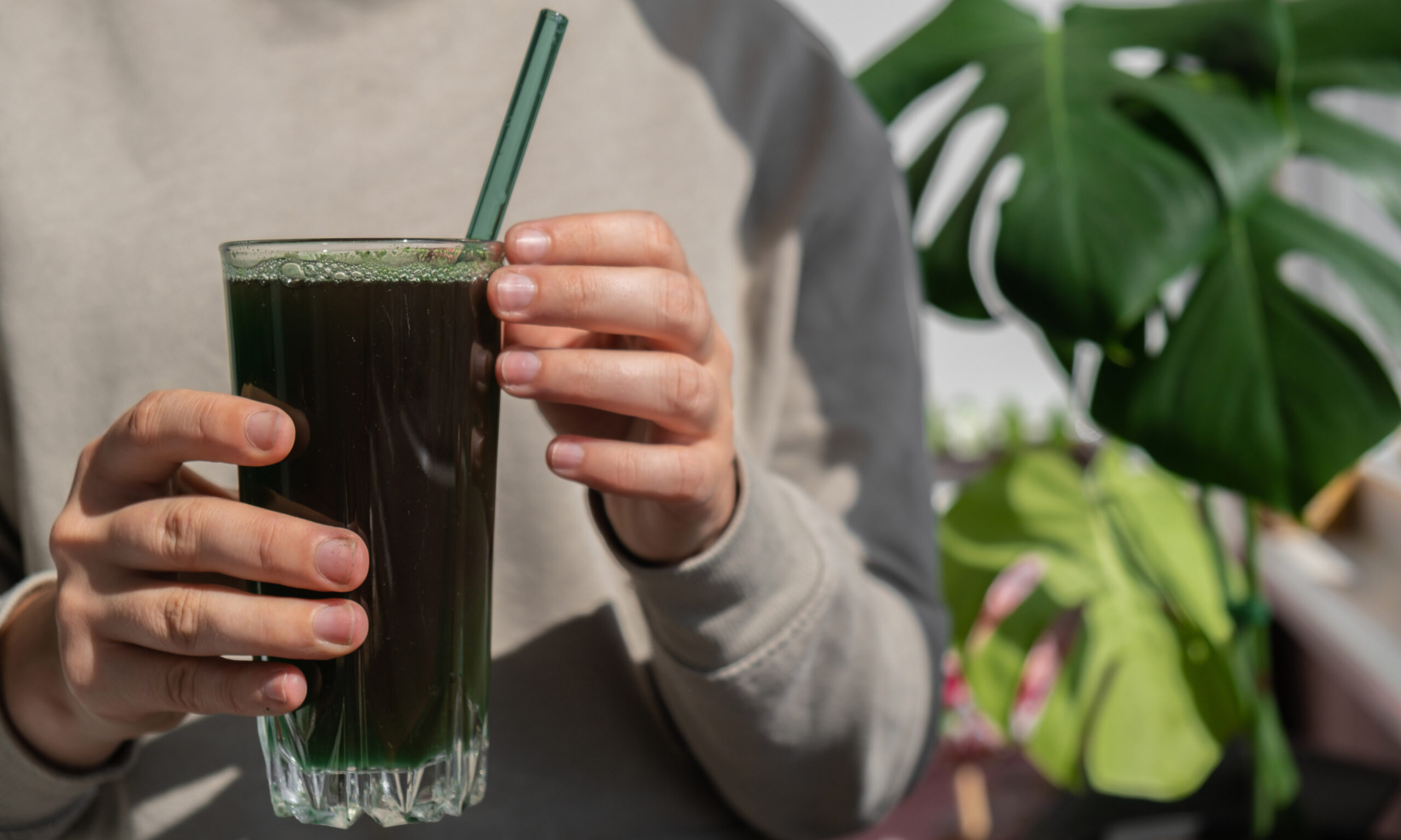 Unrecognizable woman drinking Natural organic green spirulina algae powder drink on neutral beige background. Chlorella seaweed vegan superfood cocktails smoothie supplement source and detox drinking. Innovative ingredient functional environmentally friendly food. Copy space Healthy nutritional antioxidant concept.