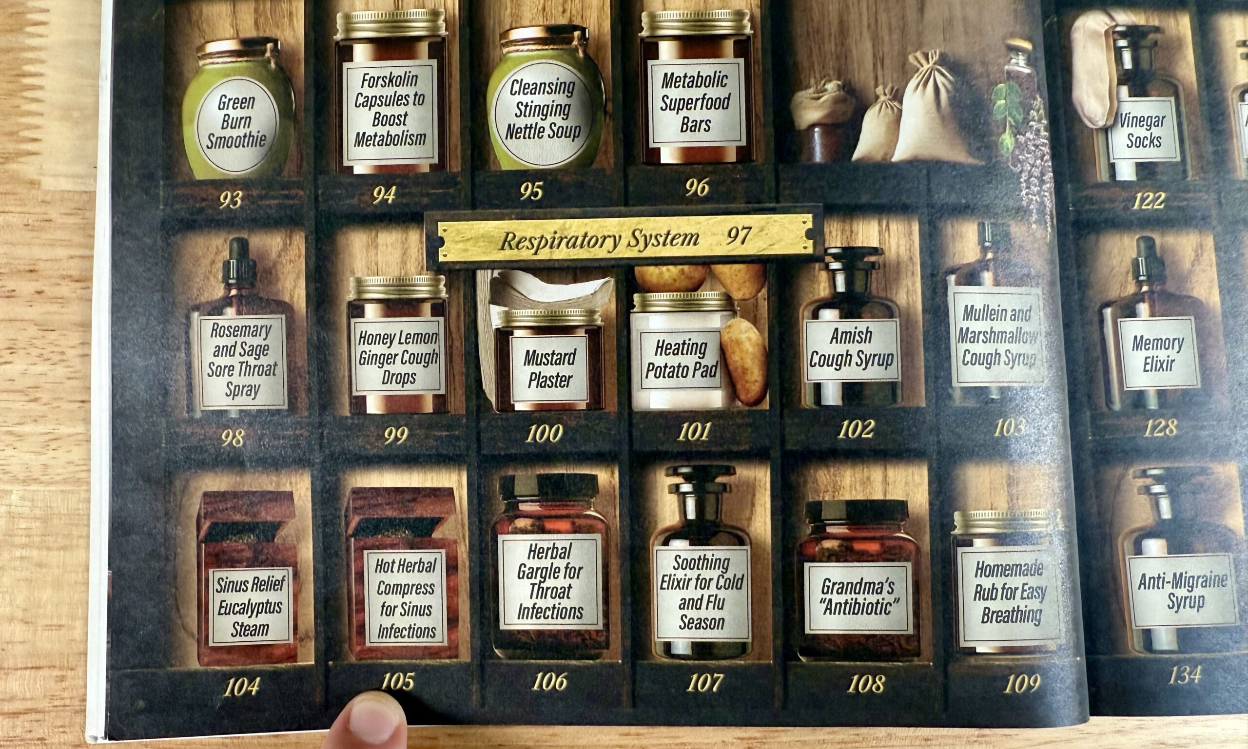 Respiratory System FHA