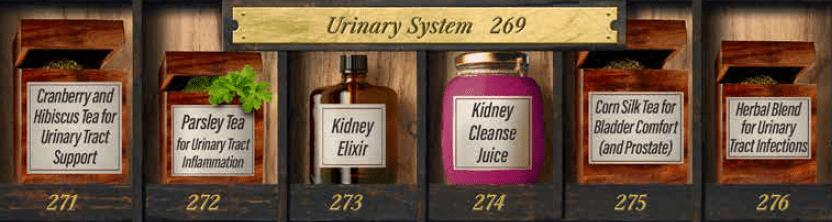 Urinary System FHA