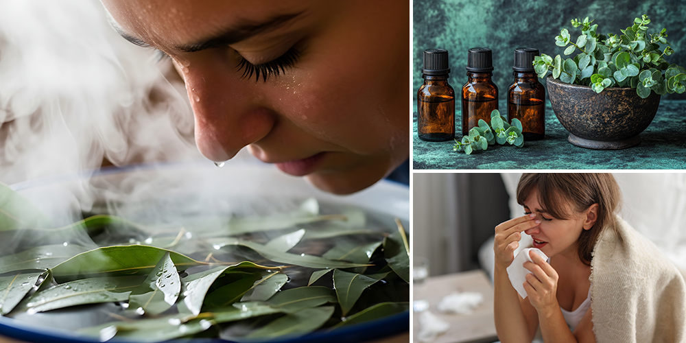 DIY Eucalyptus Steam Relief