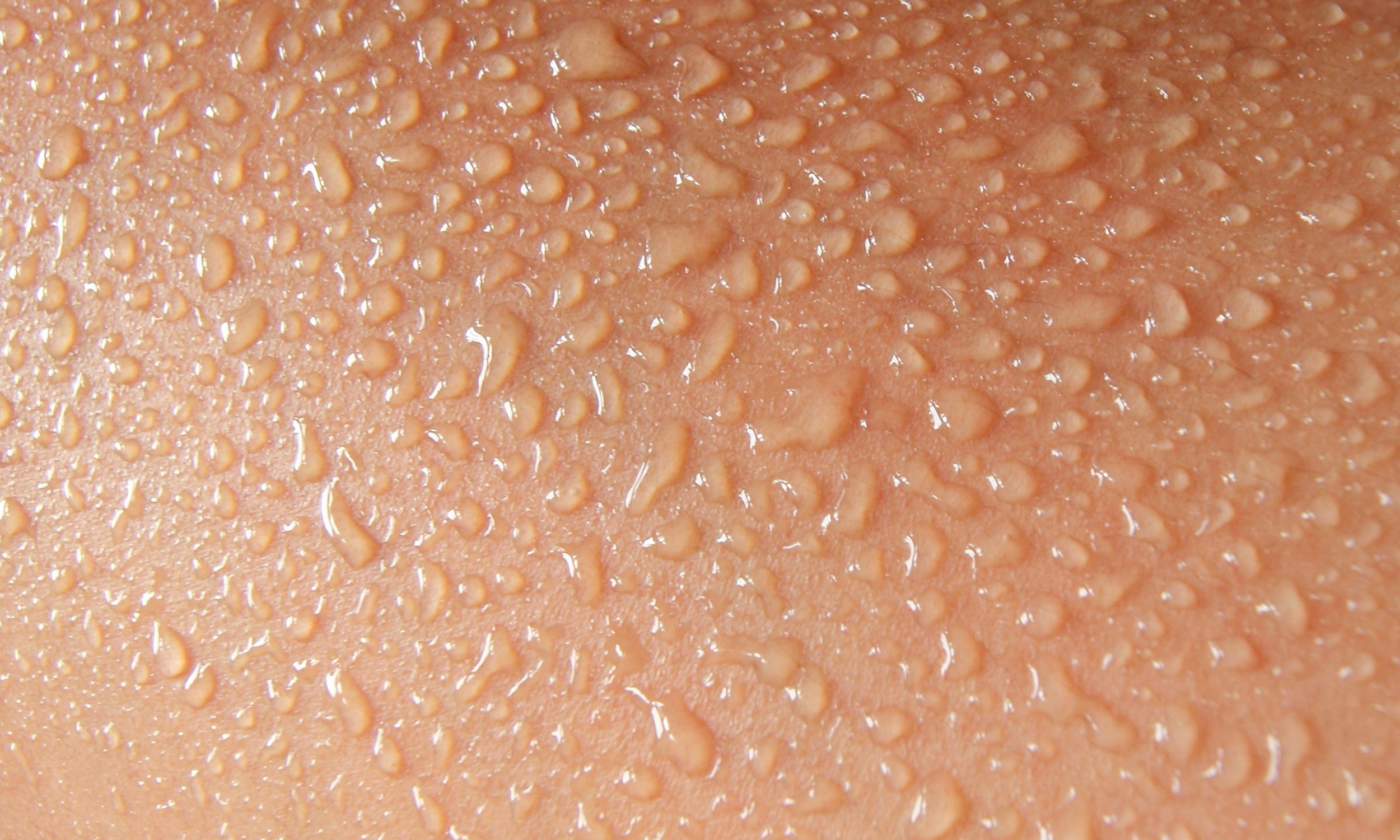 Human Skin and Sweat, soft focus