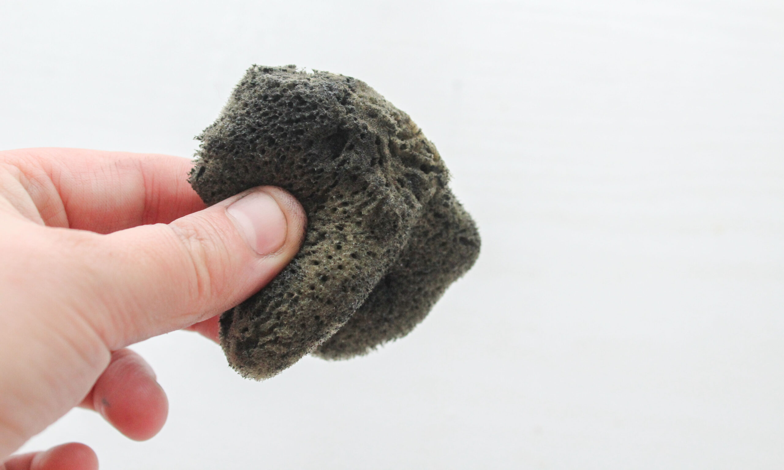 07 Anti-Inflammatory Herbal Sponge Feature copy