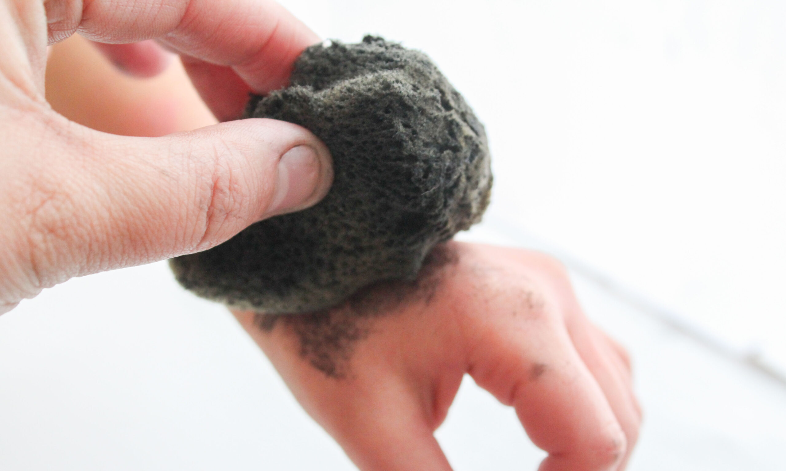 08 Anti-Inflammatory Herbal Sponge In Post copy