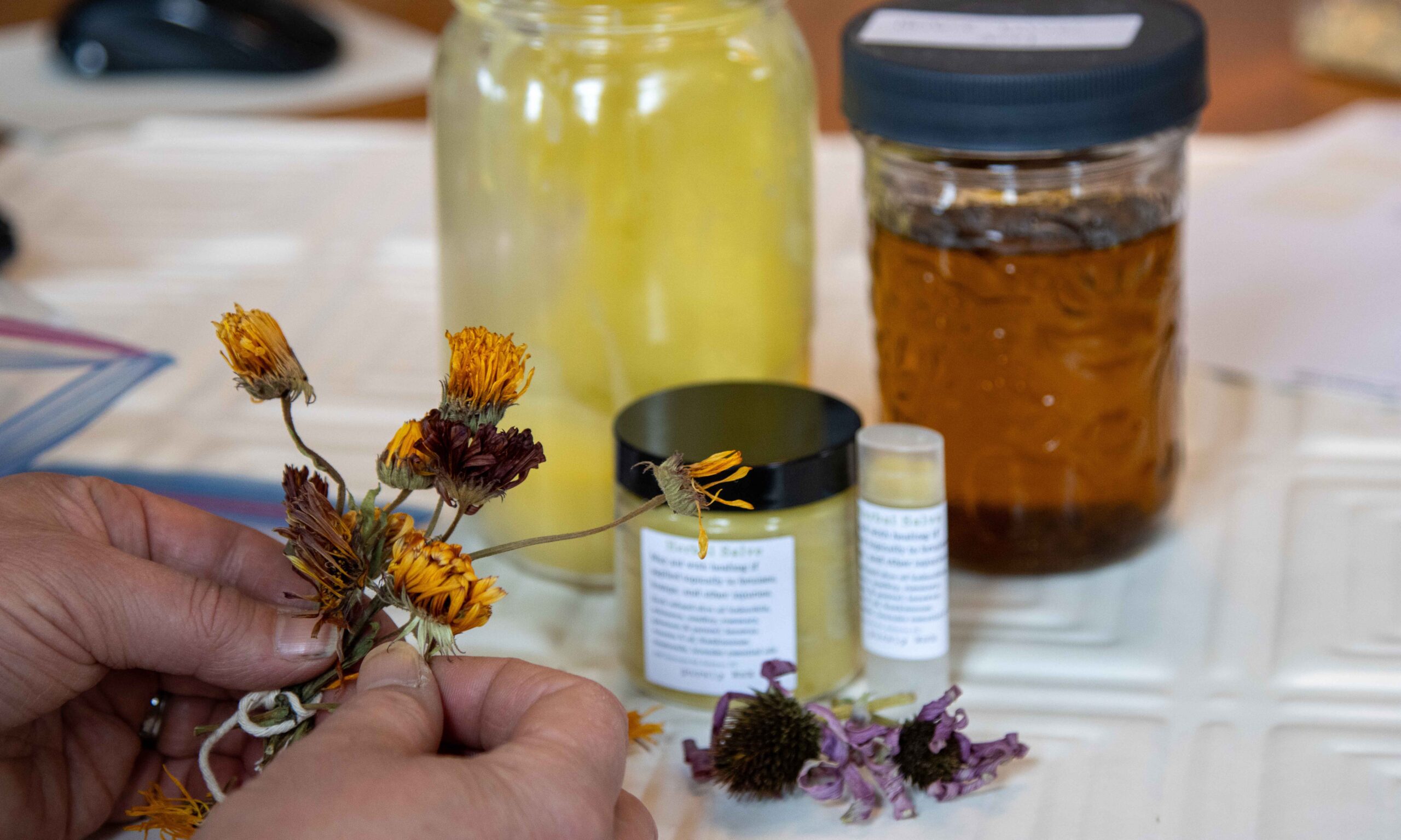 A woman arranges dried calendula flowers beside finished herbal salves and infused oils, preparing a natural flatlay for product photography. A behind-the-scenes glimpse into small-batch skincare storytelling.