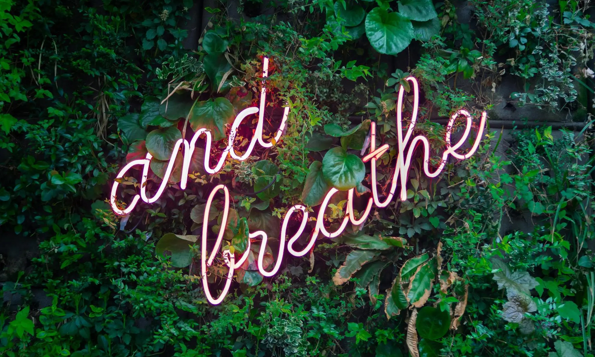 neon-text-and-breathe-on-greenery copy