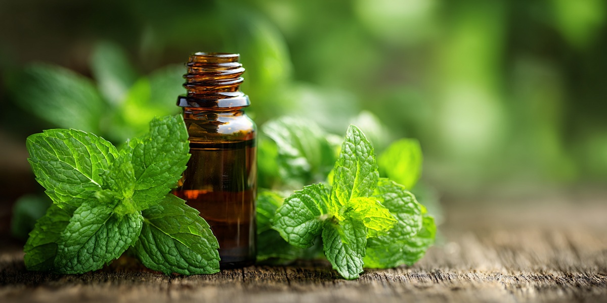 peppermint oil for hair