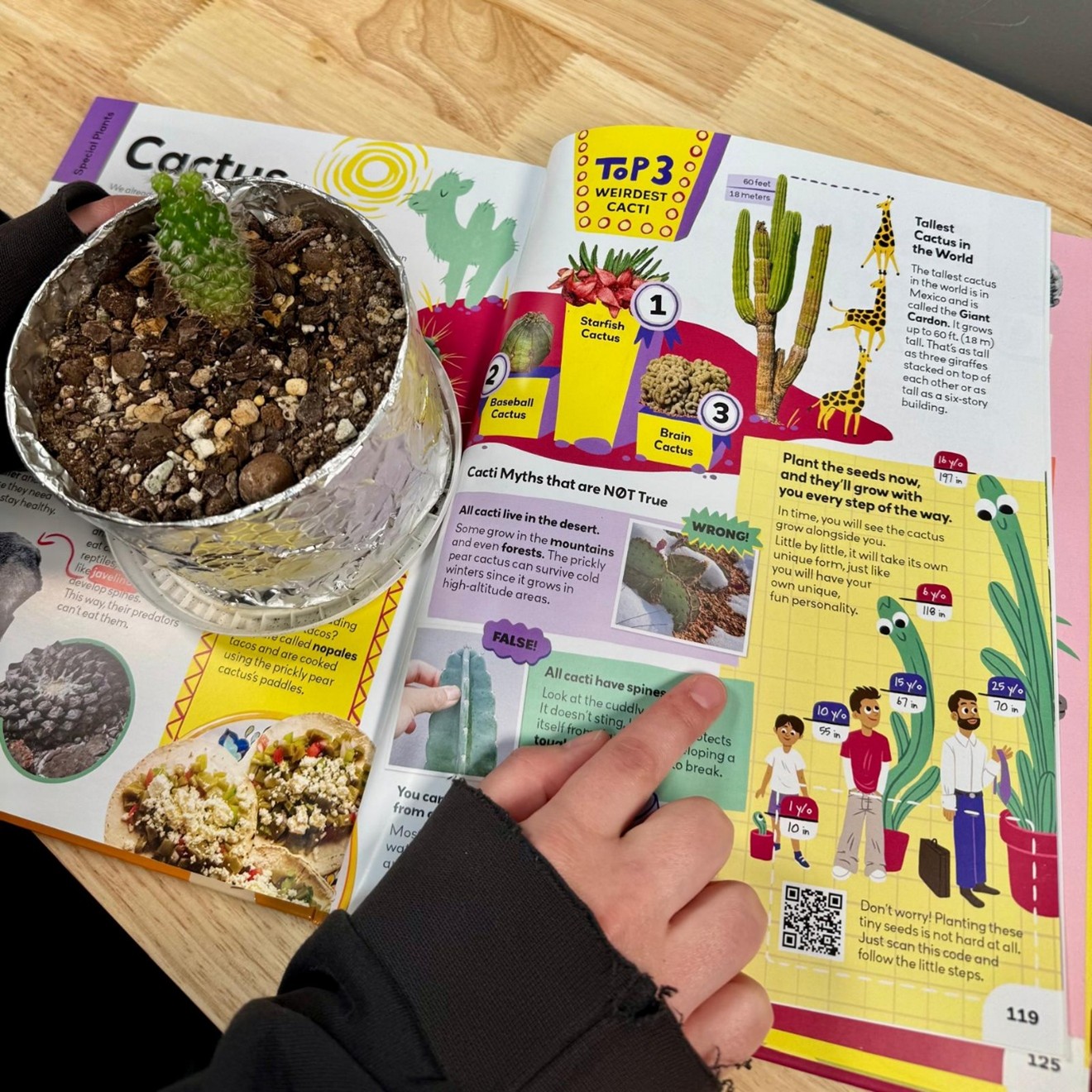 my first plant book on the table showing plants