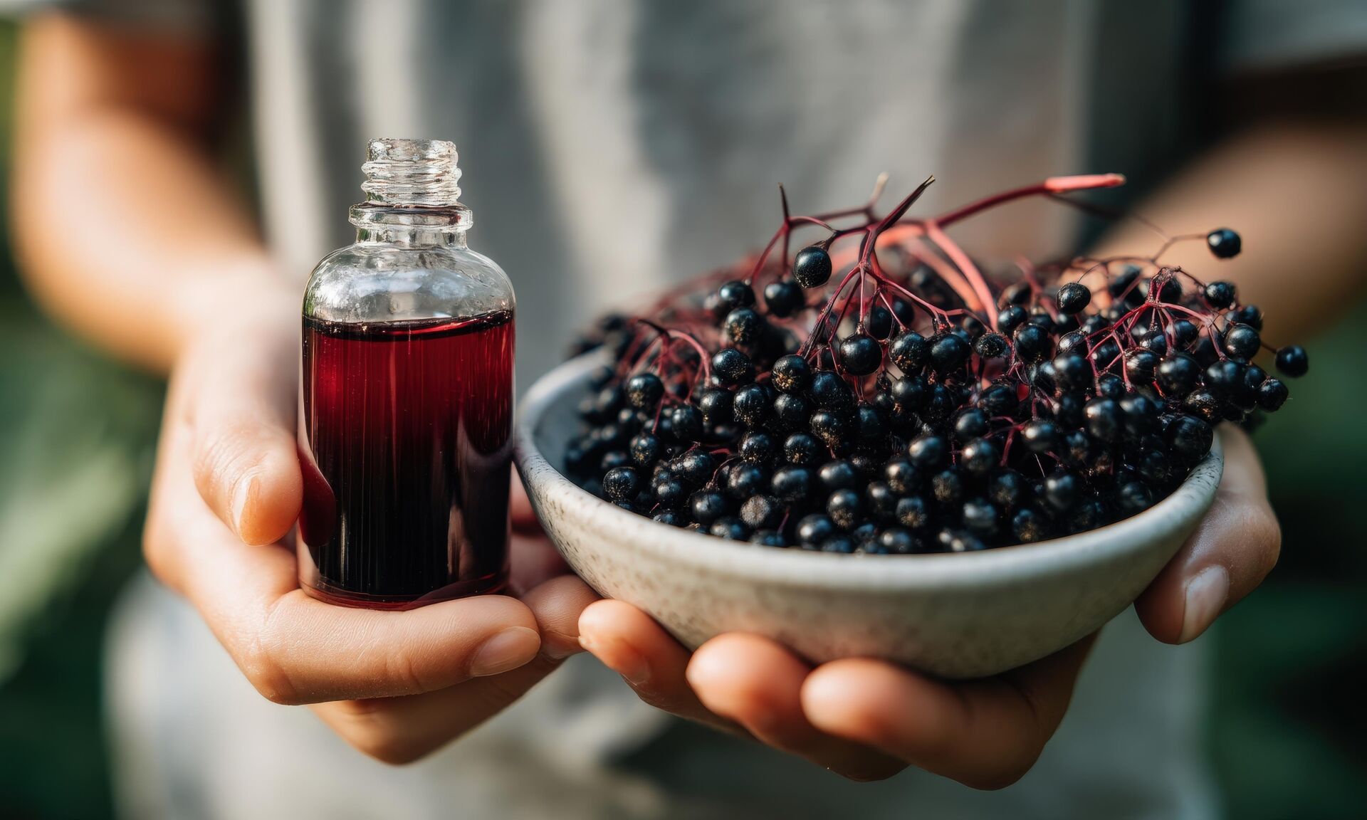 Hands holding a bottle of elderberry oil or syrup and fresh berries in a bowl.