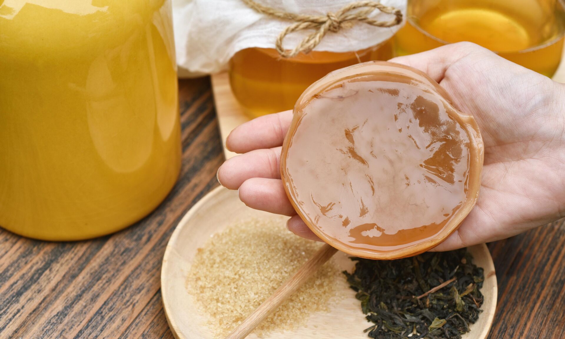 Scoby, Hand holding tea mushroom with kombucha tea, Healthy fermented food, Probiotic nutrition drink for good balance digestive system.