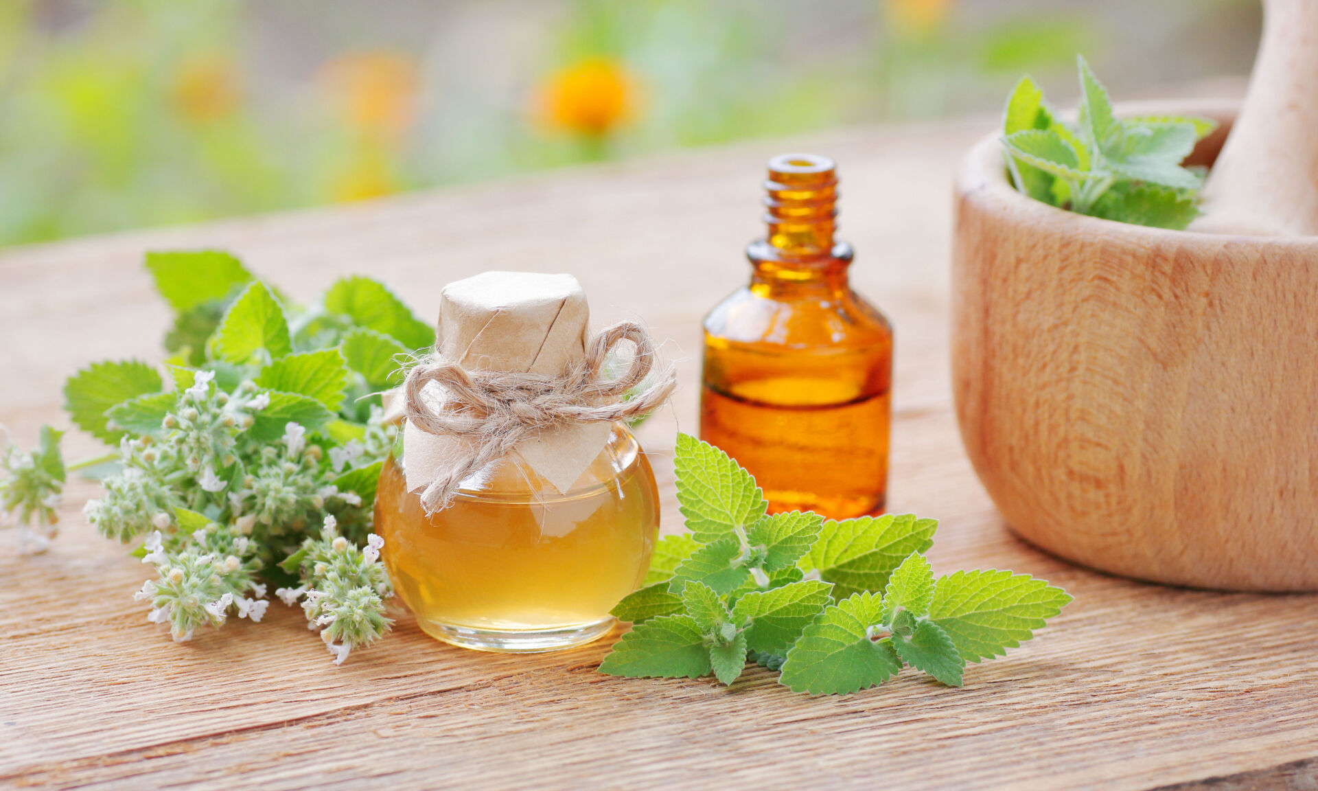 Lemon balm oil or extract on wooden rustic table with fresh leaves and flowers nearby, copy space, herbal remedy for insomnia and stress, natural hair and skin treatment, aromatherapy concept