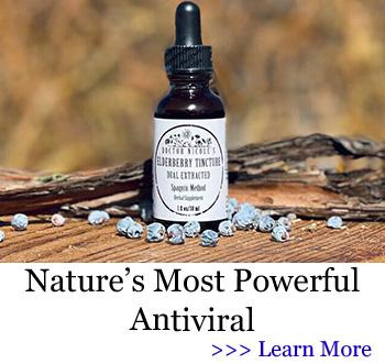 Banner Elderberry tincture