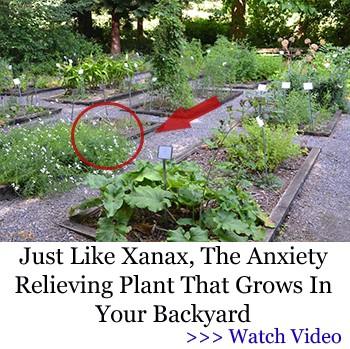 Just Like Xanax - MK