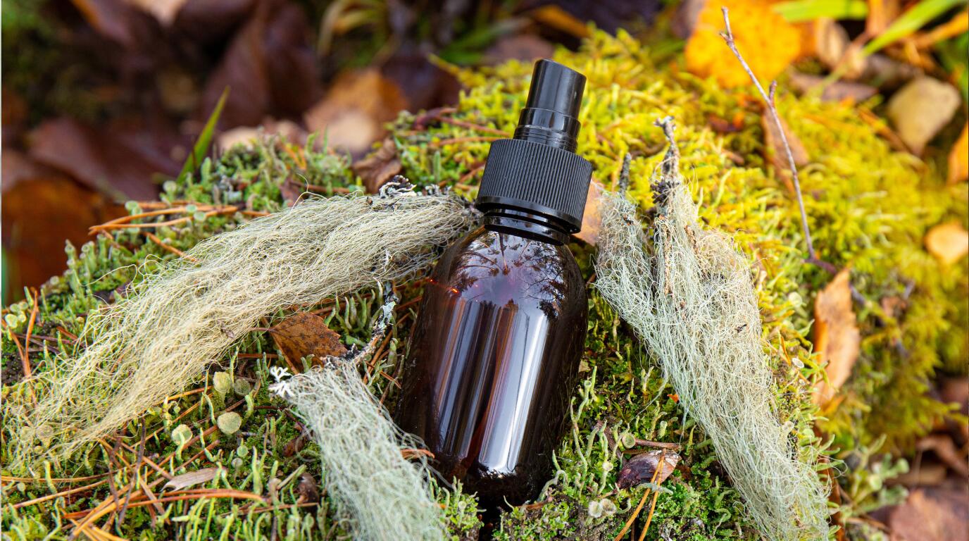 Usnea Tincture lichen in the forest