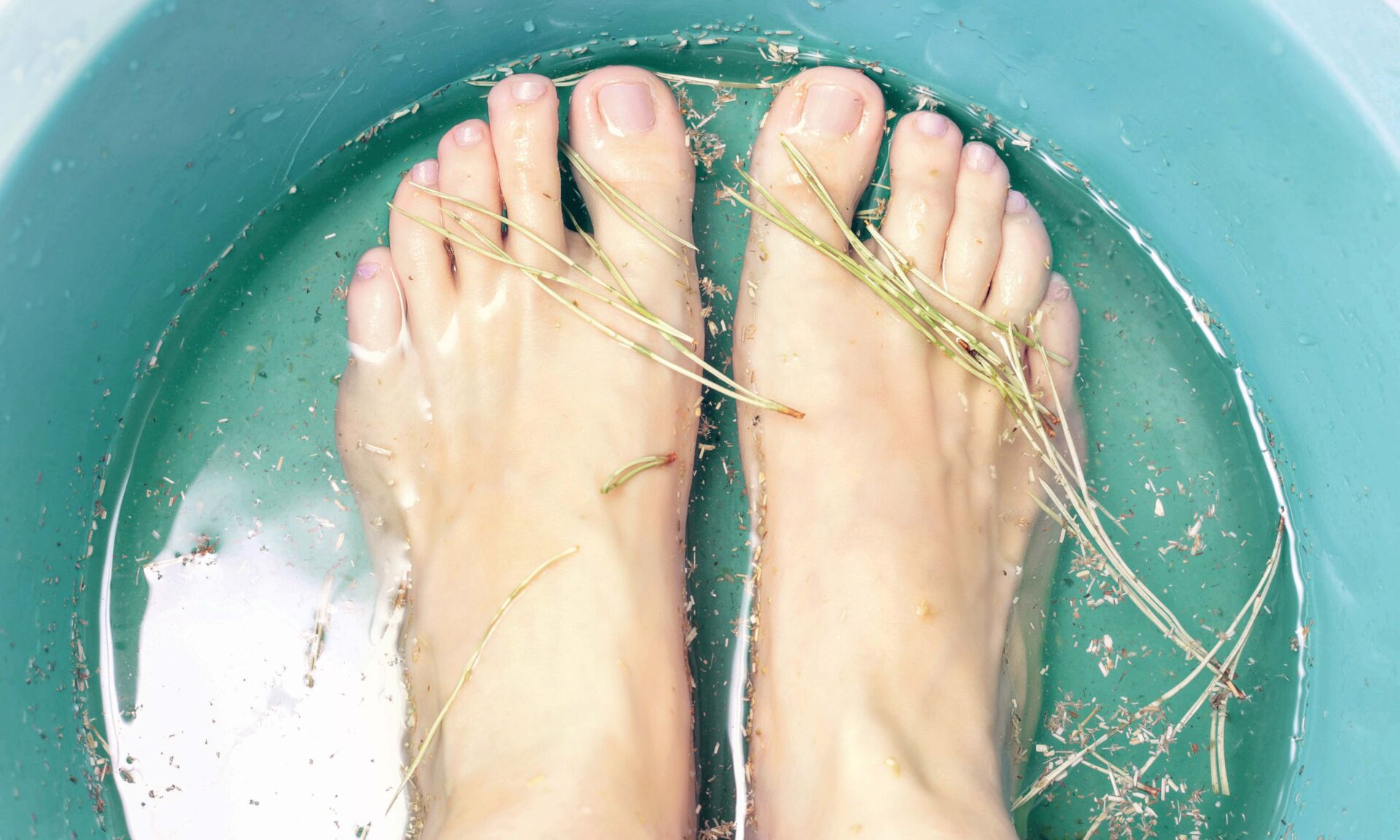 Foot bath in bowl with fir-needles and dried chamomile flowers, top view