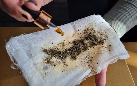 herbal compress