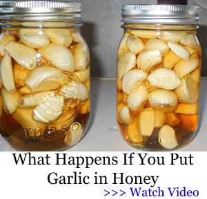 Banner HMD garlic honey
