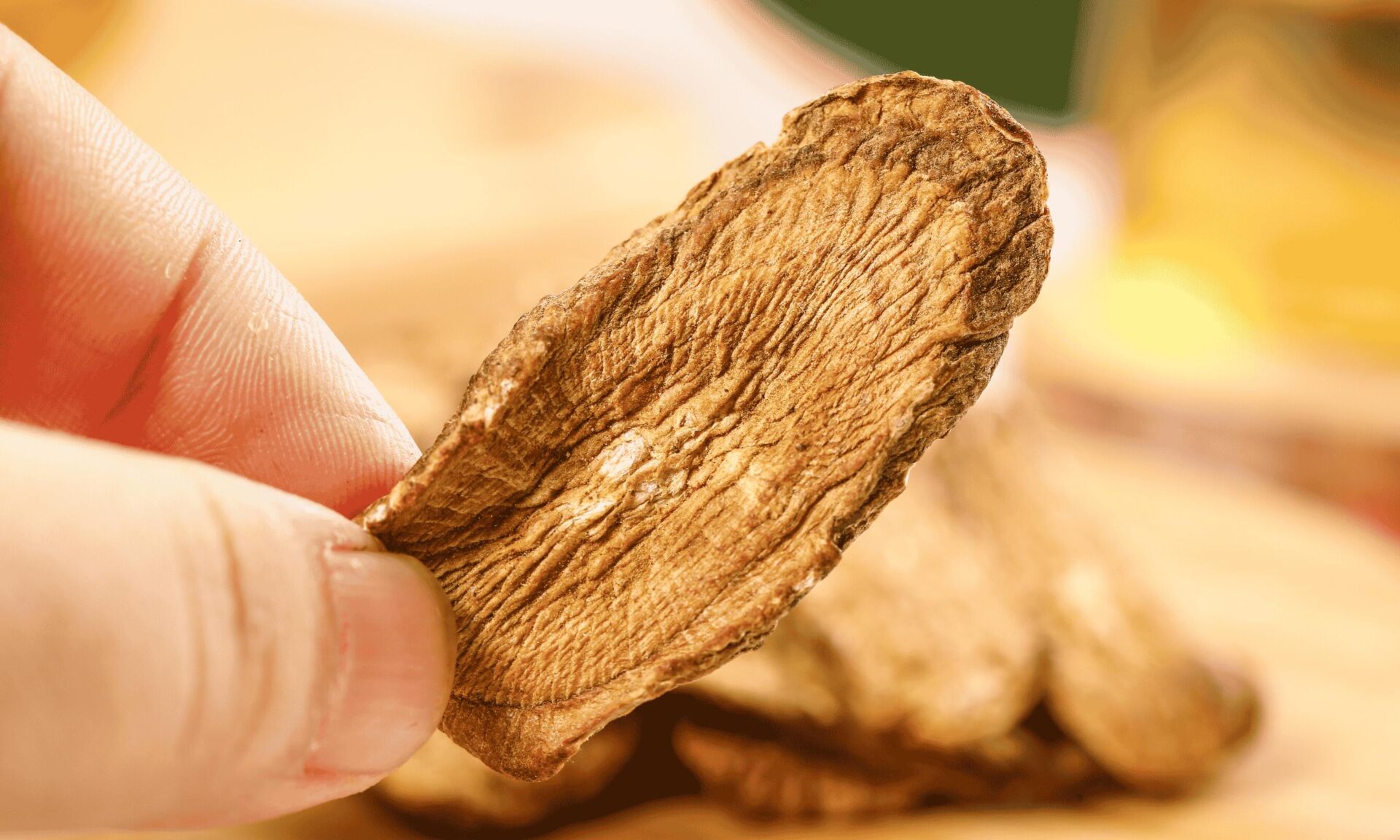 Burdock Root 2
