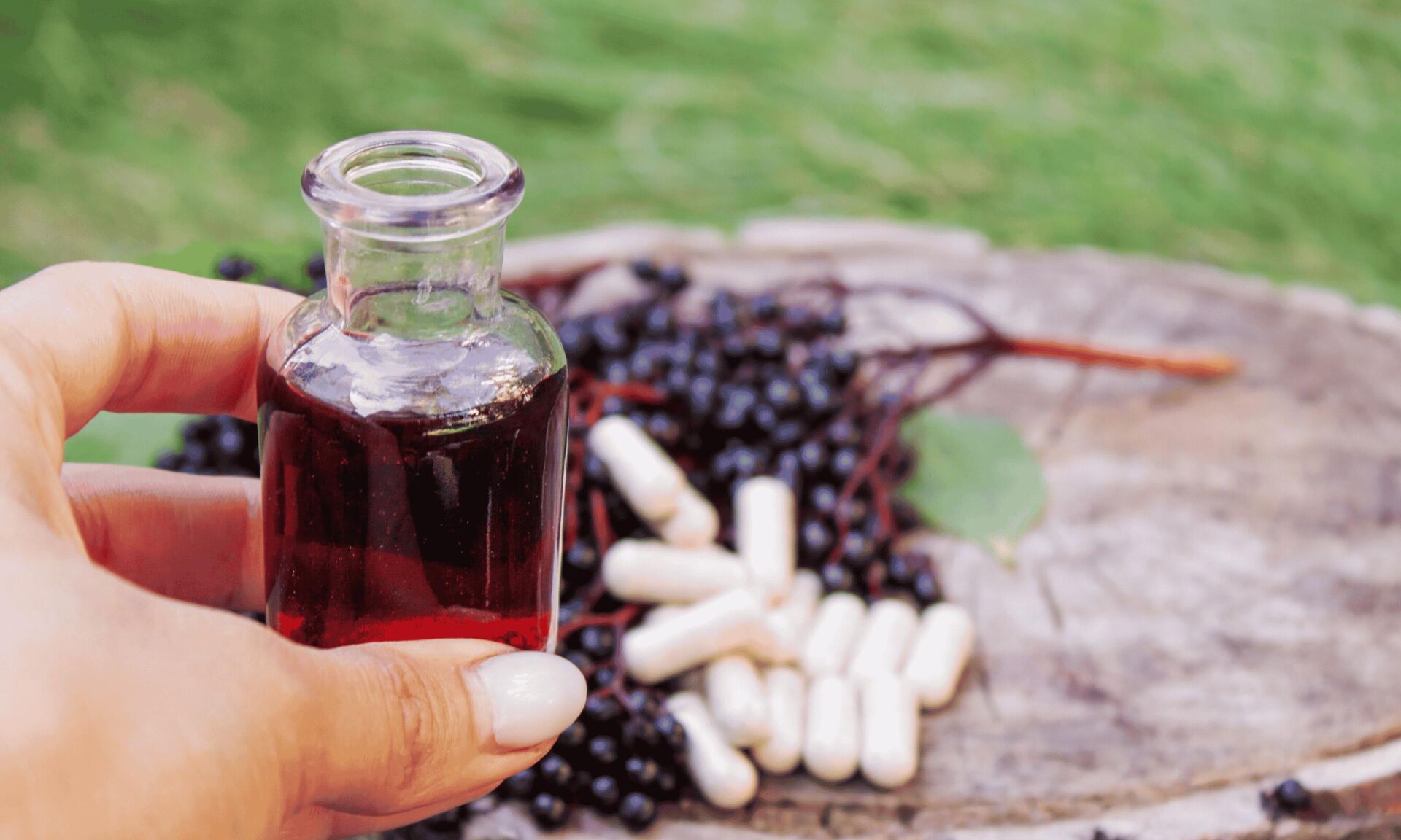 elderberry tincture