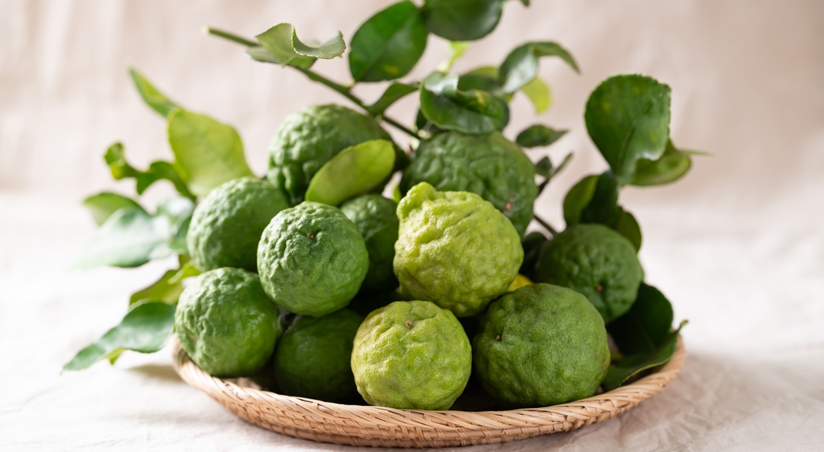 Kaffir lime fruit with leaf in basket on white fabric background, Thai food ingredient