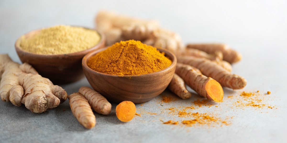 Turmeric and giger powder in wooden bowl and fresh turmeric root on grey concrete background. 