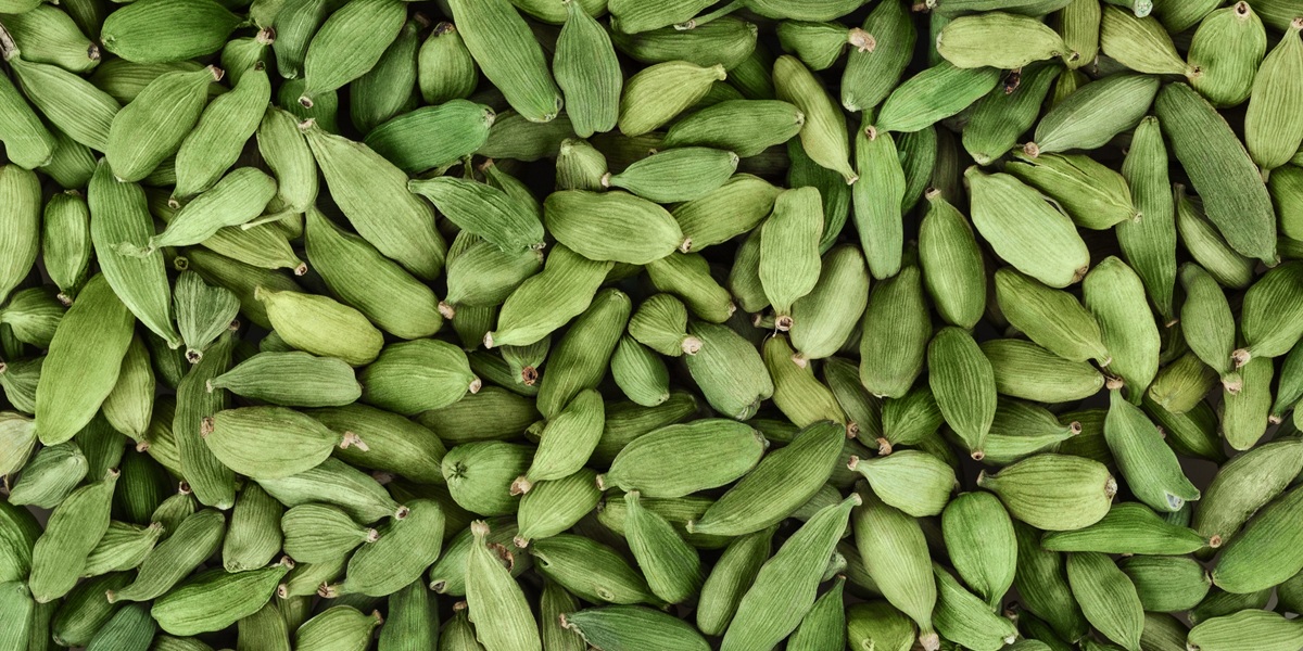 Dry green cardamom background