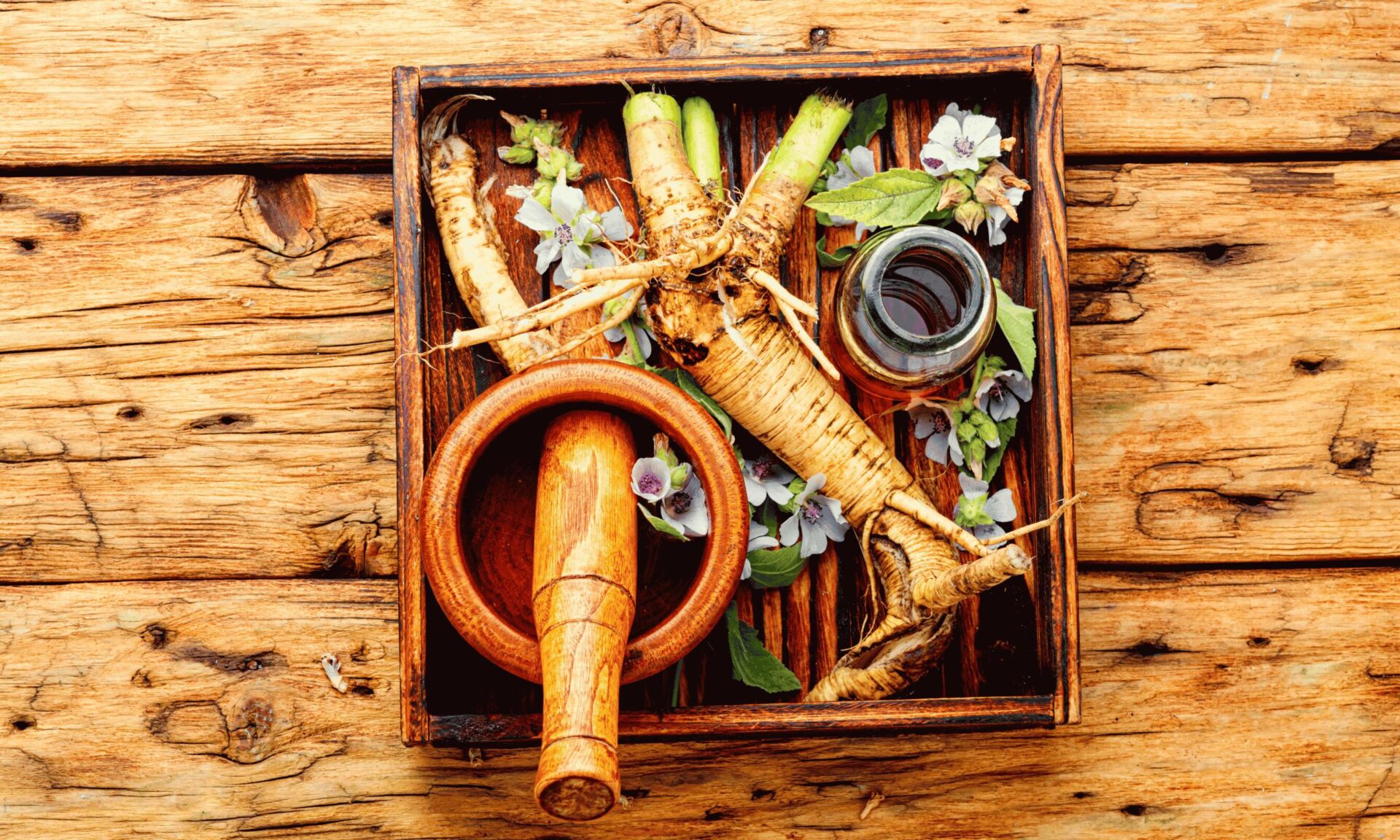 Marshmallow Root Gut-Soothing Drops ingredients