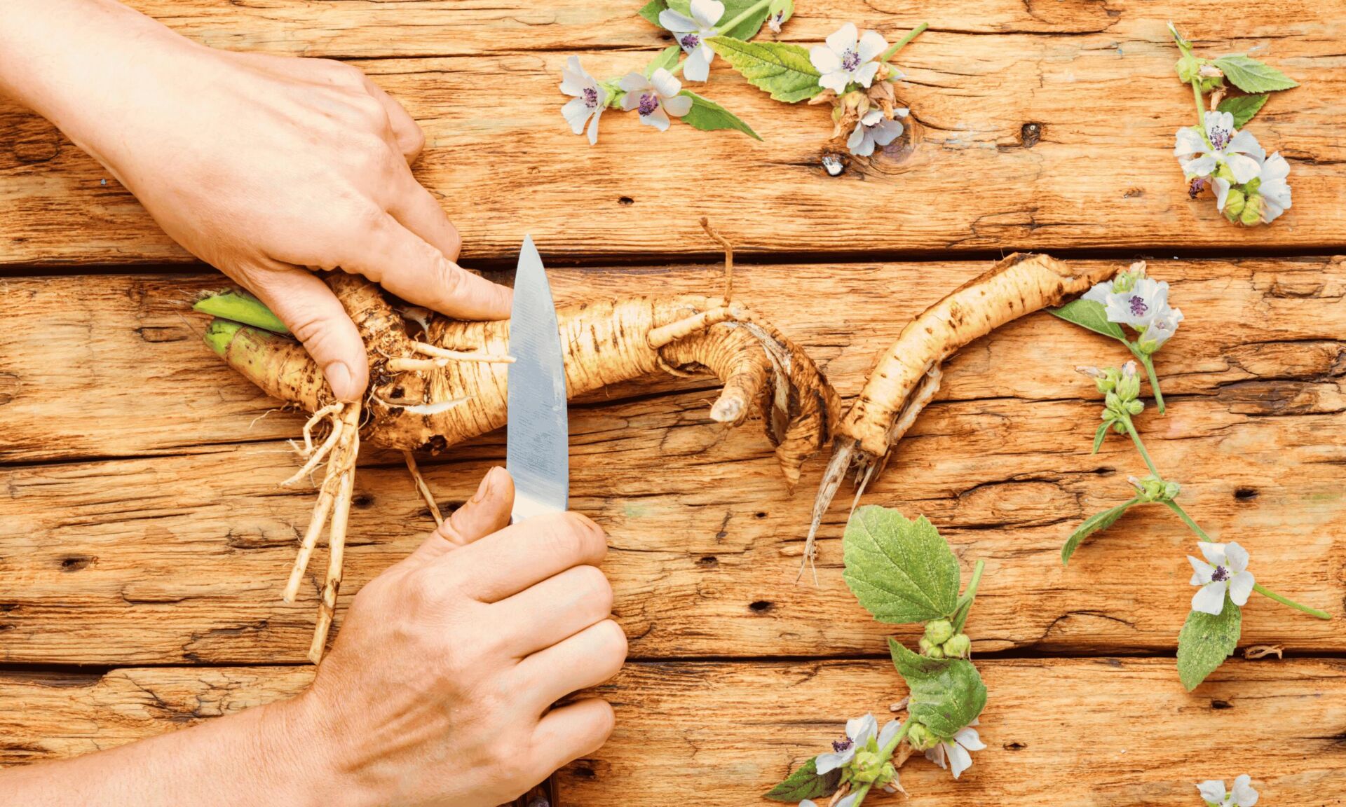 Marshmallow Root Gut-Soothing Drops making of