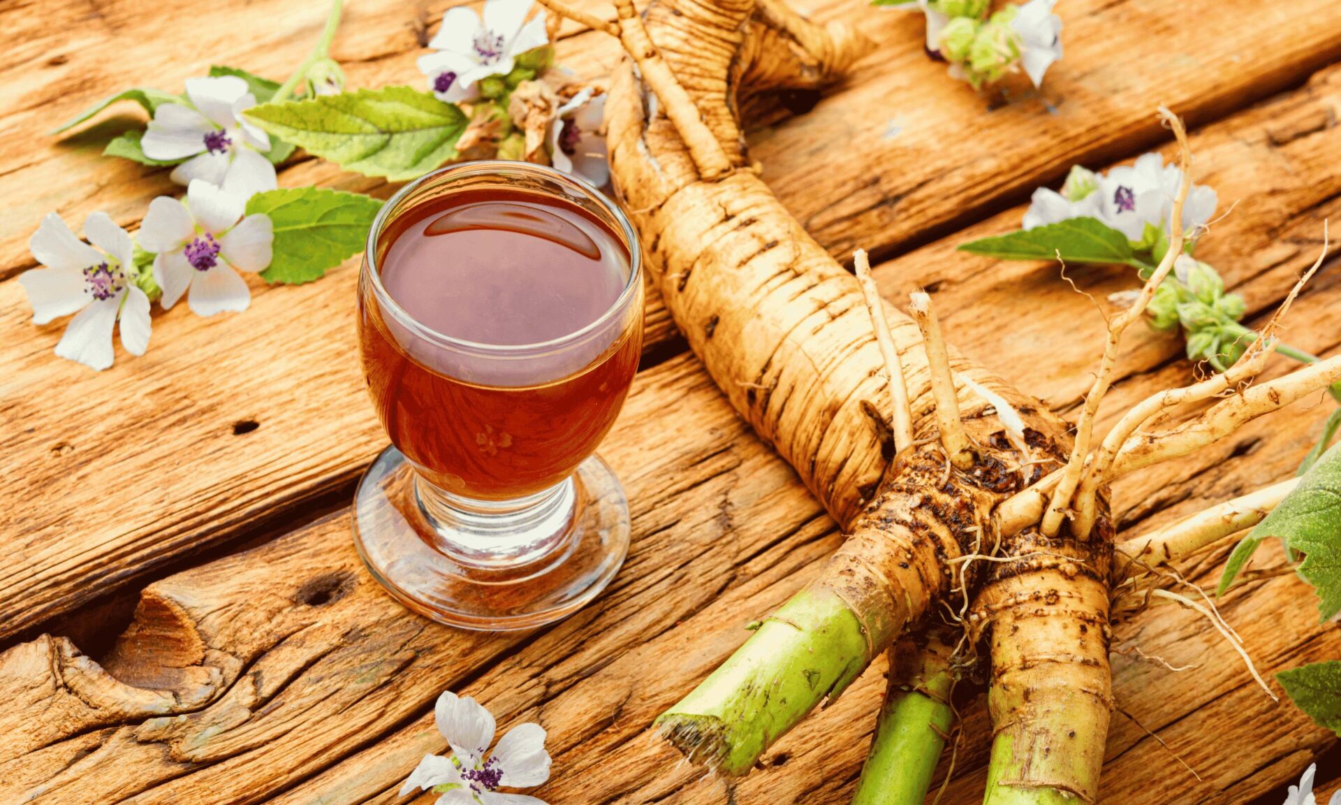 Marshmallow Root Gut-Soothing Drops ready made
